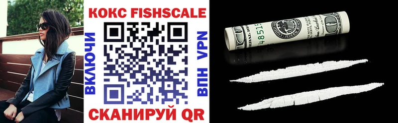 COCAIN Fish Scale  ОМГ ОМГ вход  shop официальный сайт  Ярцево 