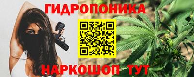 прущие грибы Кинель