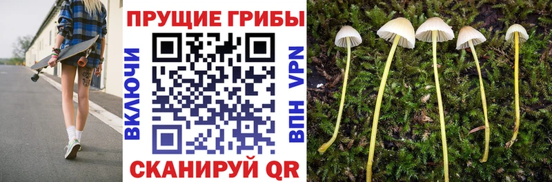 купить  сайты  Ярцево  мега зеркало  Псилоцибиновые грибы прущие грибы 