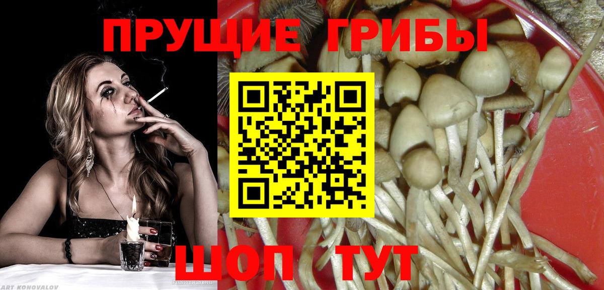 Ярцево  Галлюциногенные грибы ЛСД  Вход с VPN 